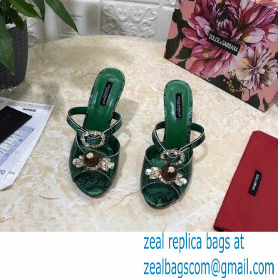 Dolce  &  Gabbana Crystal Heel 10.5cm Python Mules Green 2021